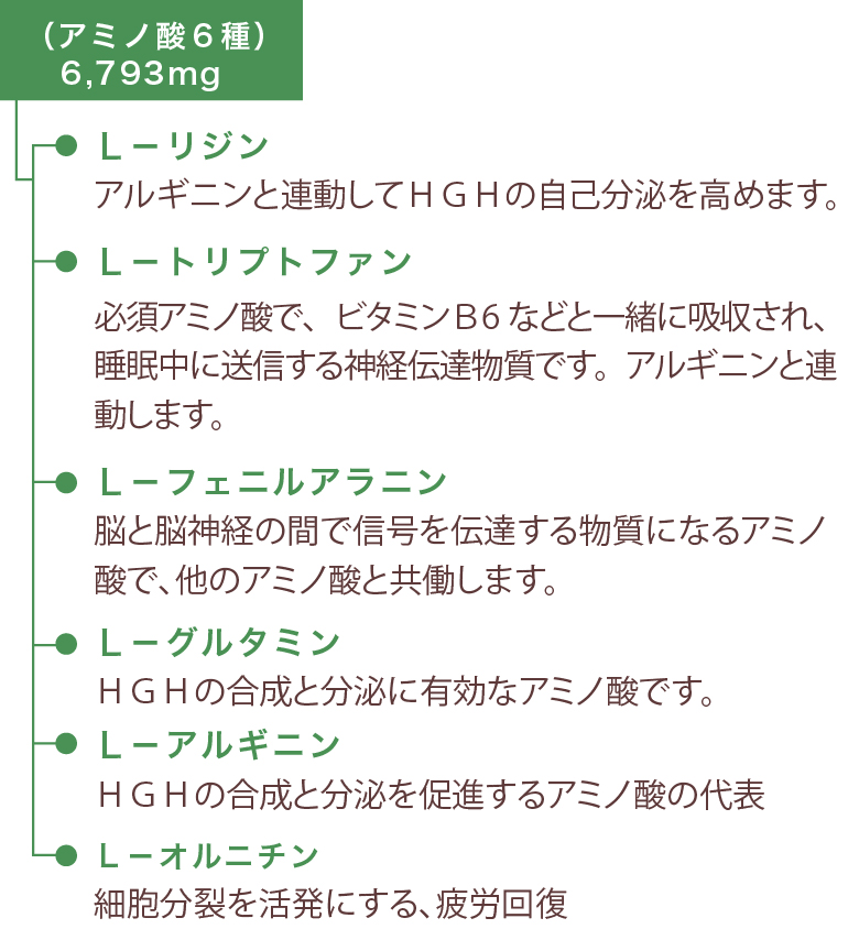 アミノ酸6種