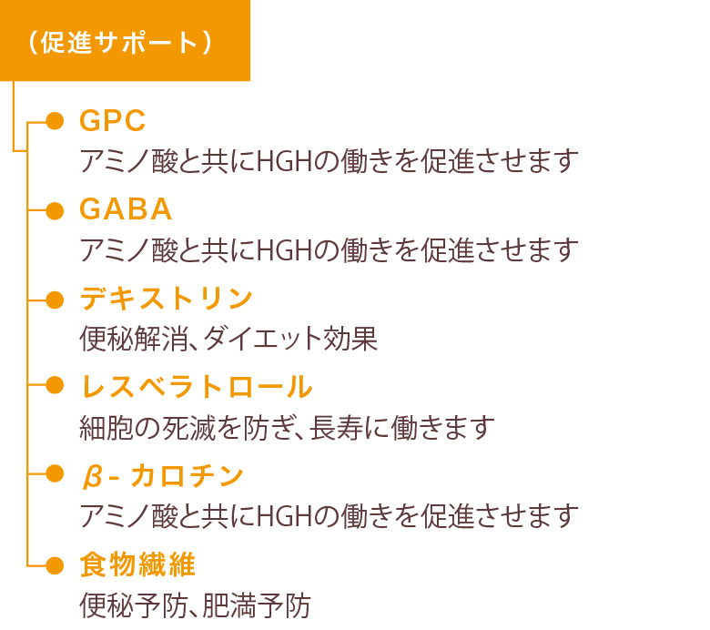 促進サポート